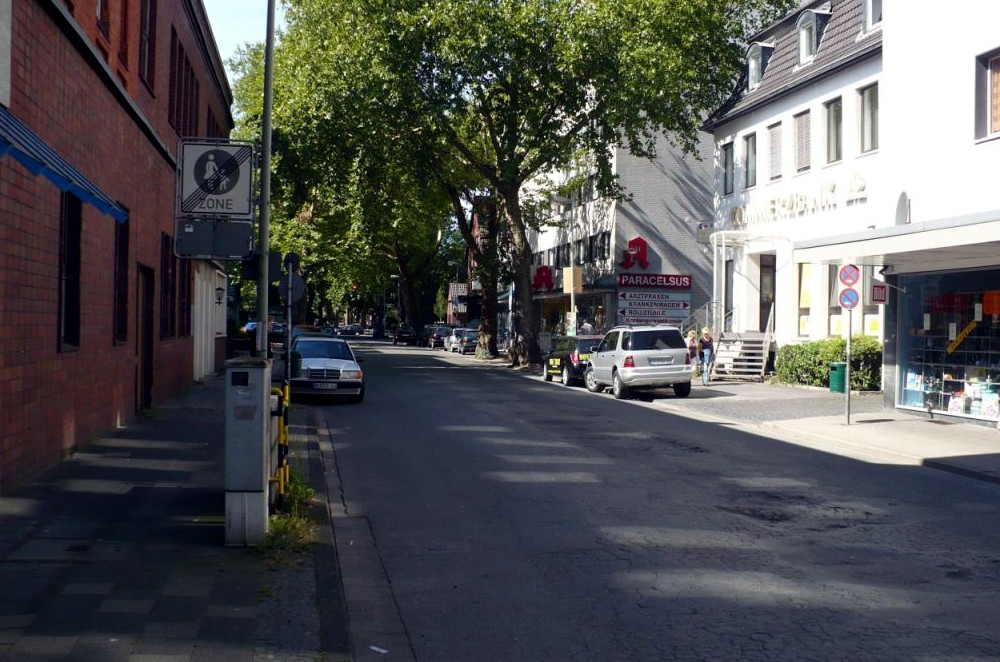 Bäume an der Gerichtsstraße