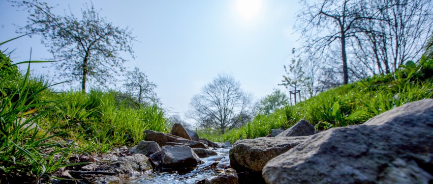 Blick über Bachlauf