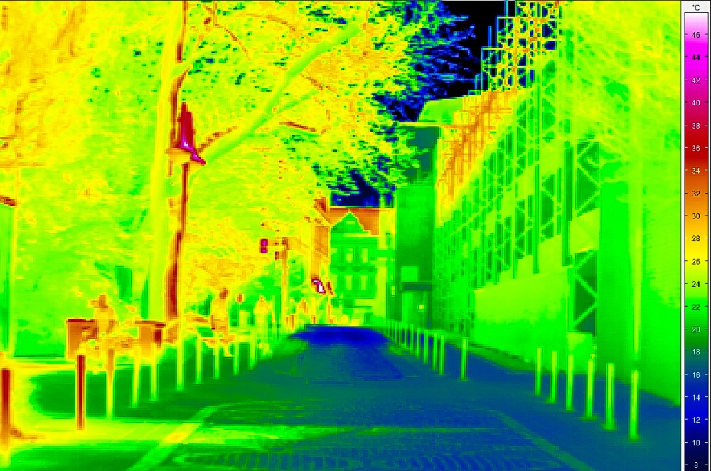 Thermalbild