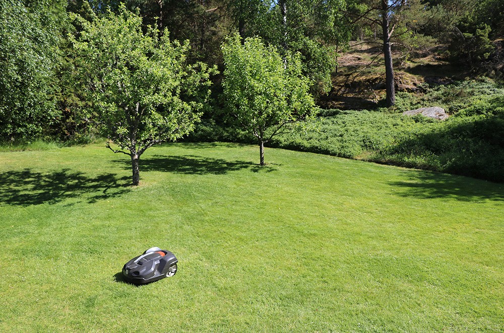 Mähroboter auf einer Wiese