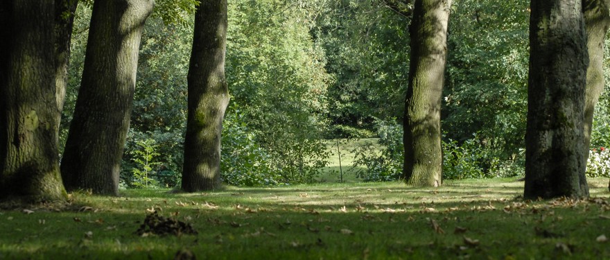 Blick in das Ostbachtal