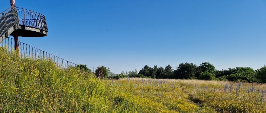 Oberstes Plateau der Halde Pluto Wilhelm mit Aussichtsturm
